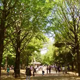 光が丘公園