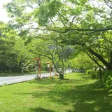 日吉大社 二ノ鳥居