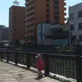 和歌山市営京橋駐車場