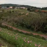 マザー牧場 山の上ゲート