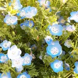138タワーパーク