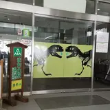勝山温泉センター水芭蕉