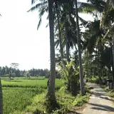 Ubud
