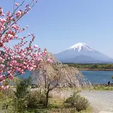 山田屋ホテル
