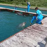 かつもとイルカパーク