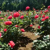 智光山公園