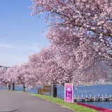 湖畔公園足湯