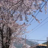 駿河徳山駅