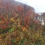 八海山ロープウェー