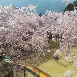 智者の丘公園