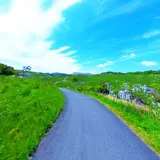 平尾台自然観察センター