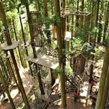 フォレストアドベンチャー・糸島