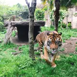 八木山動物公園フジサキの杜