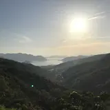 グリーンライン