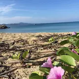 名護湾