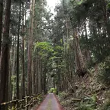 煤ヶ谷