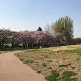 北上市立公園展勝地