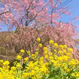 佐久間ダム公園