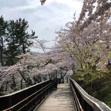 函館公園