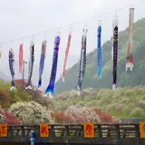 月川