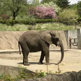 盛岡市動物公園