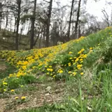 茂岩山自然公園