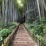ひよどり坂