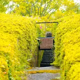 （財）滋賀県陶芸の森