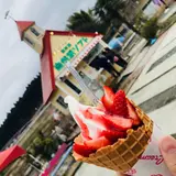 南阿蘇自然派ソフト