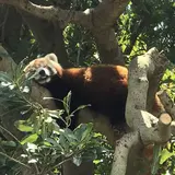 熱川バナナワニ園