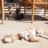 那須りんどう湖レイクビュー