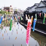 巴波川