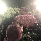 都市緑化植物園