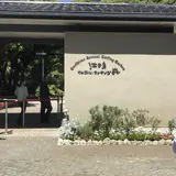 江の島サムエル・コッキング苑
