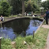 六本木つり堀