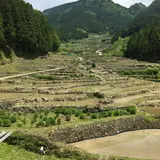 四谷千枚田