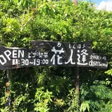 花人逢