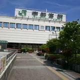餃子像
