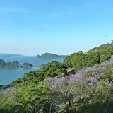 亜熱帯作物支場〜トロピカルドーム・ジャカランダの森〜