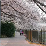 柏尾川