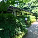 鉄板焼 しゃぶしゃぶ ステーキハウス 桂