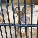 五桂池ふるさと村