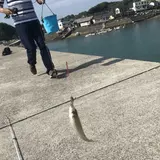 鳩の釜漁港