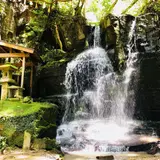 青葉の寺