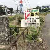 大野屋