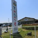 JAよこすか葉山　農産物直売所「すかなごっそ」