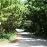 おばけ坂