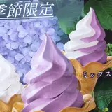 不動せんべい開運堂