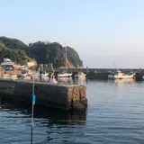 有限会社勝浦マリンハーバー