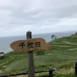 千枚田